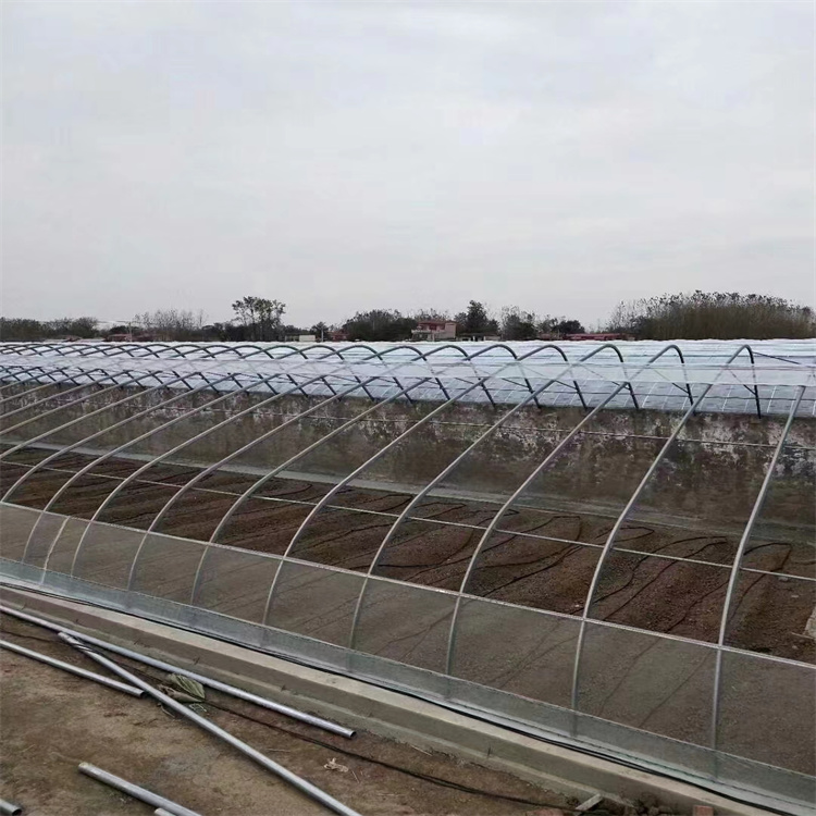 (ni)Bw?֧ν(jng)(j)P(pn)(wn)