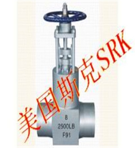 M(jn)ڸߜظ߉ly|(gu)˹SRK