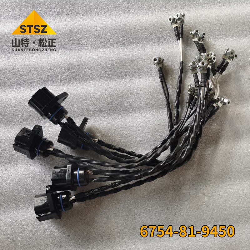 СSAA4D107E 6754-81-9450