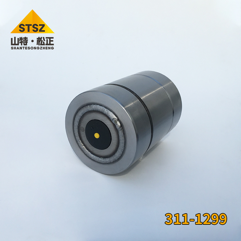 C(j)D10 D(zhun)N(xio)311-1299