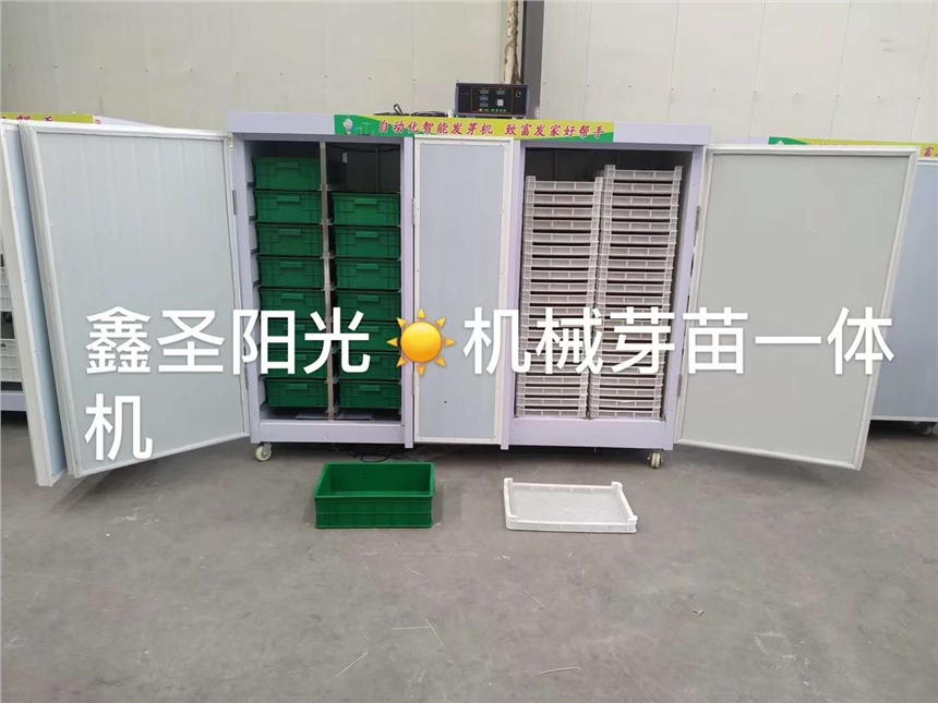 ѿˌðlѿCԄӼӜԄˮ