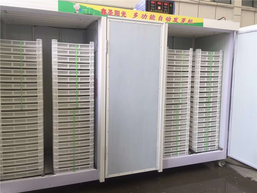 ѿ˴ѿC   ԄӼӜشѿC