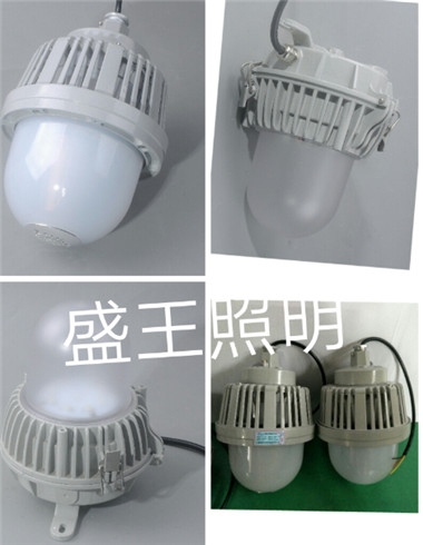 ɽ|EPHK01LEDͶ2024Ѹ£/飩