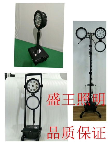 LEDVLZY8610-1-L100W/250W