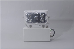 PT8451̑BL۟2023Ѹ£/®aƷ