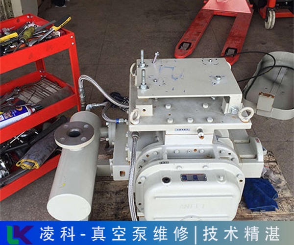 Pfeifferհlͱ©(Sޣֵ]