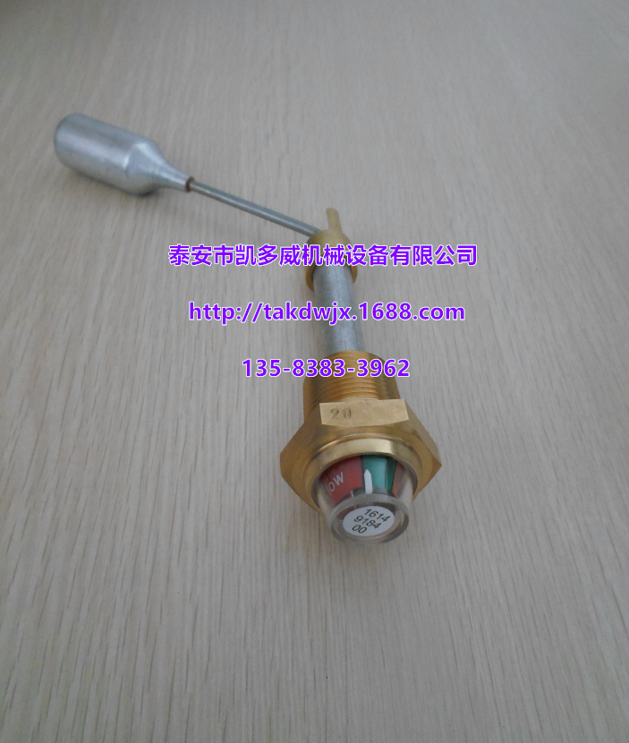 200EAU30389598529QX101393ǸGDհ^RλӋ