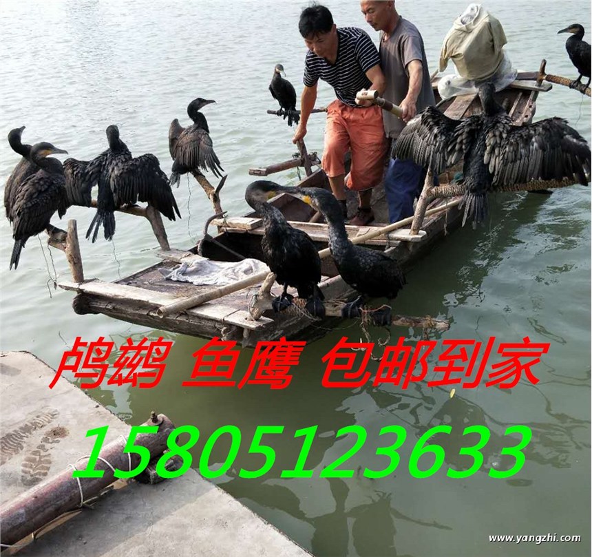 u(mi)~(y)ˣu(mi)R\ˣ