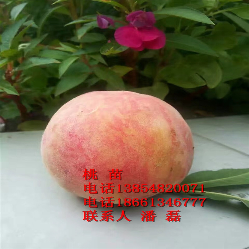 3Ҙ(sh)3ֶҘ(sh)Xһ3ֶҘ(sh)