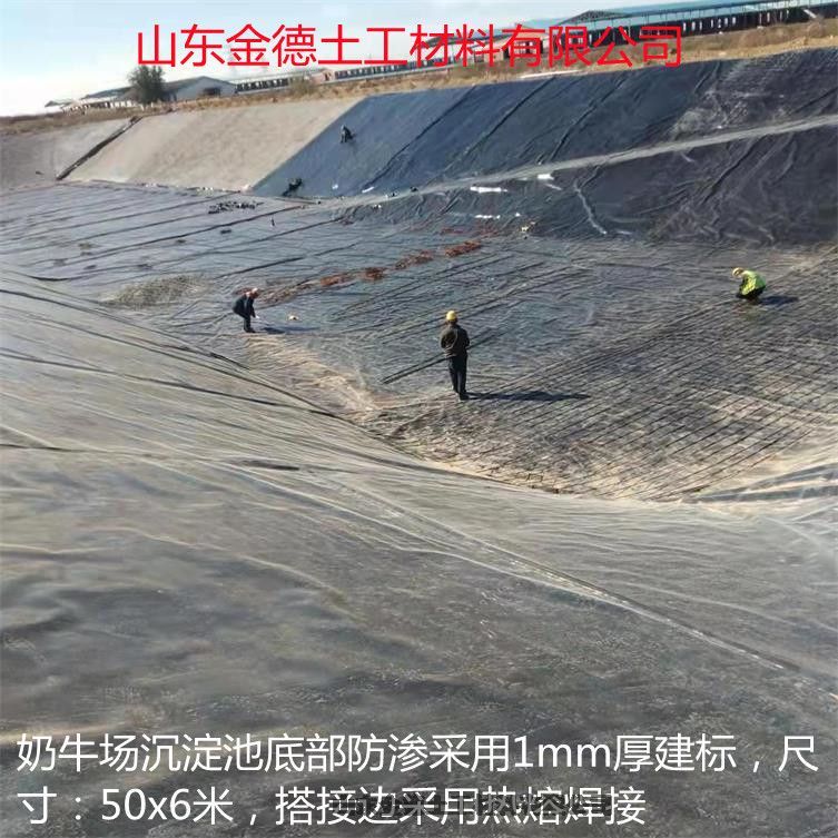 WgԏβV׷B-ǽ˹Ĥ1.0