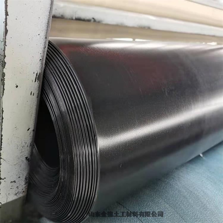 ҺطB͸ߜز׃ HDPEĤ2.5