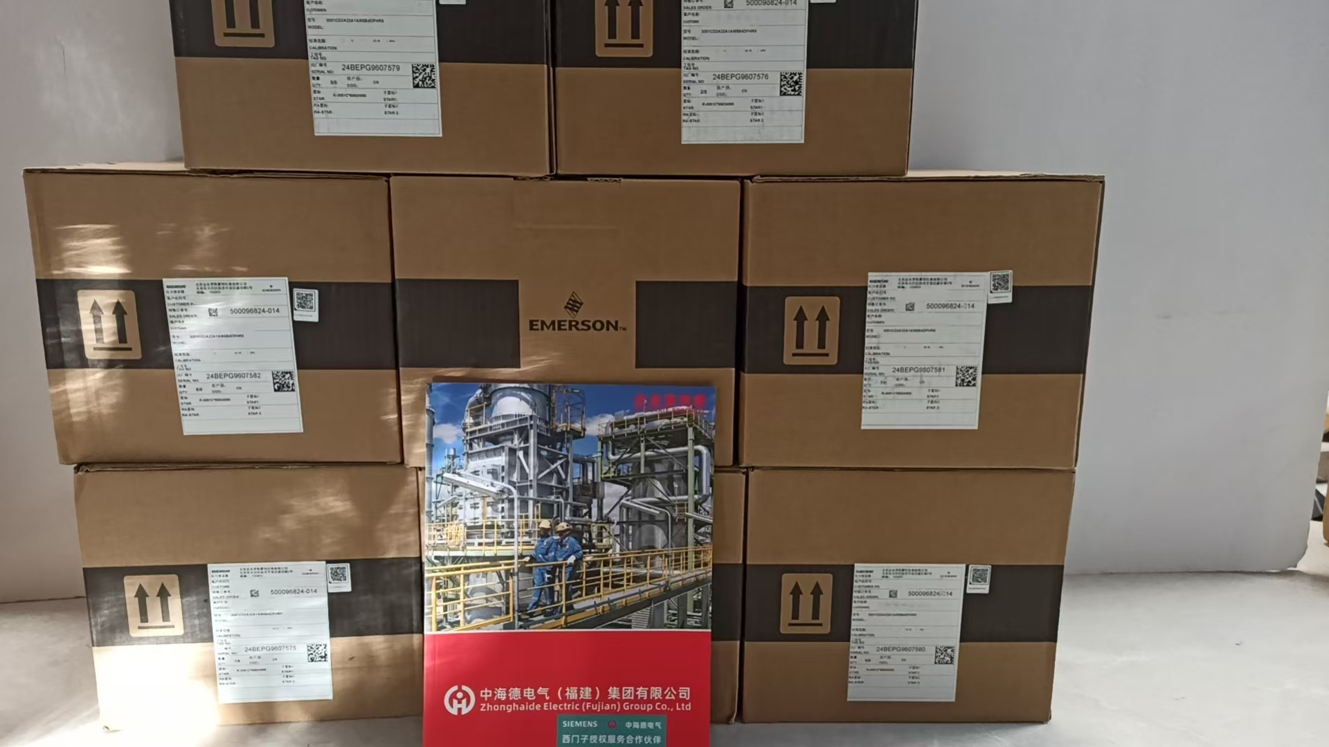 EmersonVS3202wr(ji)ֵ