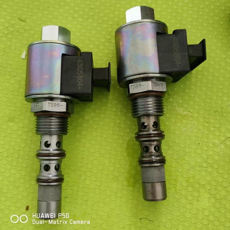 ¸˹pyTS98-31-0-V-24DG