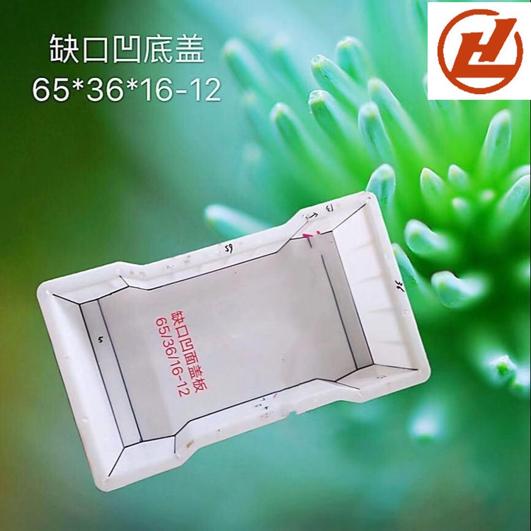 wģ wģ wģ R wģ rϢ