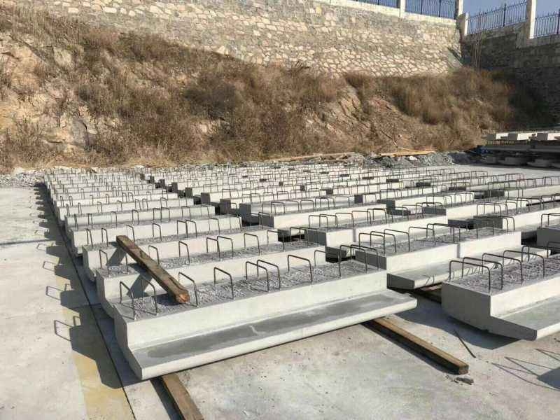 Aڰģ ڰģ ڰģ Fڰģ R SԒ