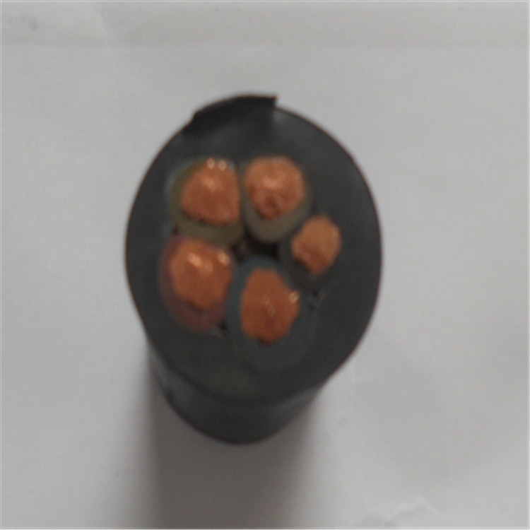 YC-4*4+1*2.5  ͨܛ| (bio)r