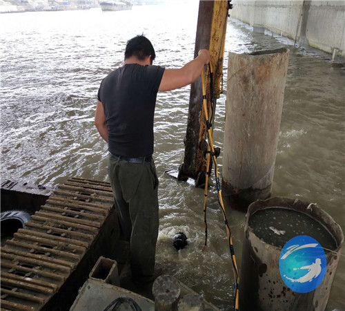 ˴lTˮи˾-ˮޏͣ