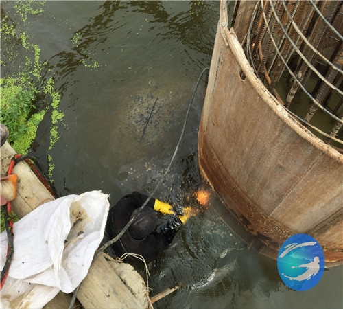 䓰嘶ˮи˾-ˮи