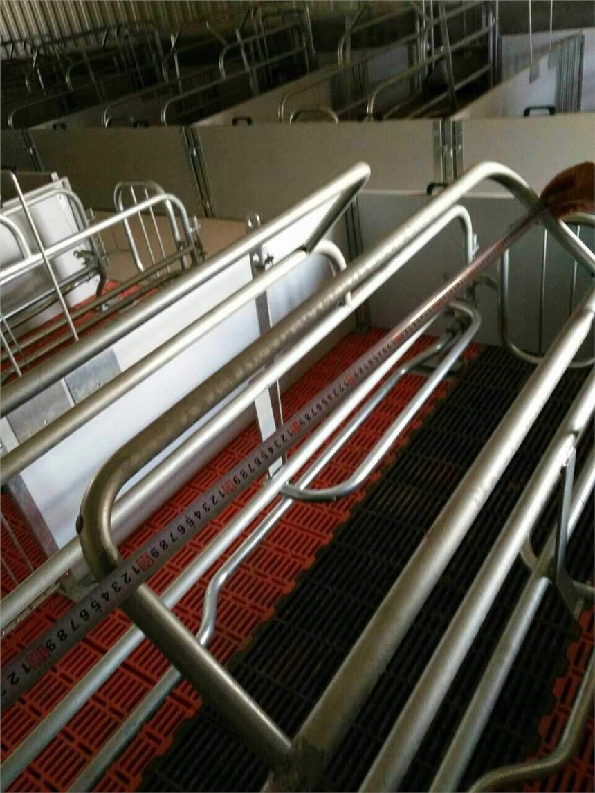 WʽĸiaSֱN   ĸi䴲  Сi  i  BiO