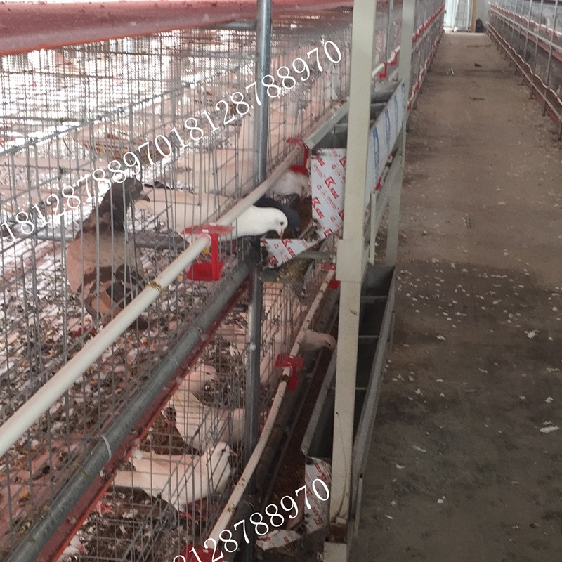 ԄSC|ĎʽSC BԄιϙC