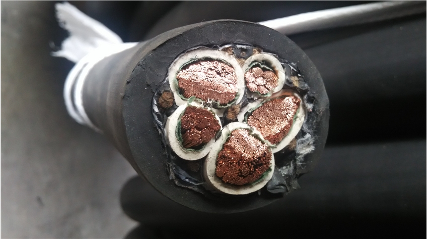 CJV92/DA/SA/NA|(gu)(bio)