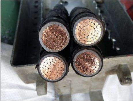 CJPJ95/NC CJPJ85/NC|wY