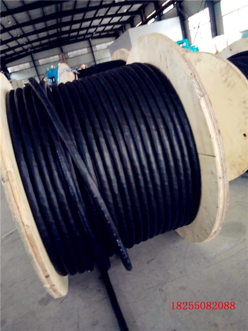 ZC-DJVP2VP2-22-(B)-(J)0.3/0.5kVӋC|