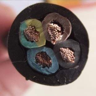 DJYP3V0.3/0.5kVӋC|ˇ