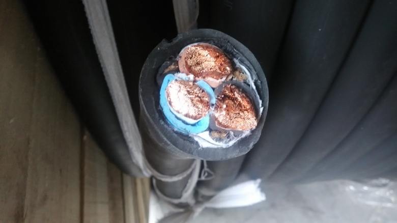 (bio)N-DJVP3VP3-22-(B)-(J)0.3/0.5kVӋ(j)C(j)|(bio)