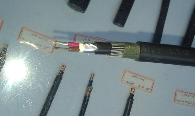 ZC-KYJVP3-320.45/0.75kV|