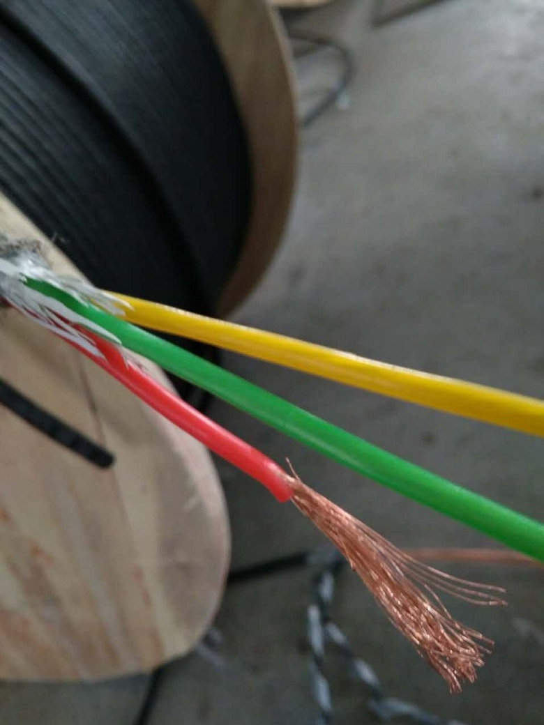 (bio)DJYV-(B)0.3/0.5kVӋC|S