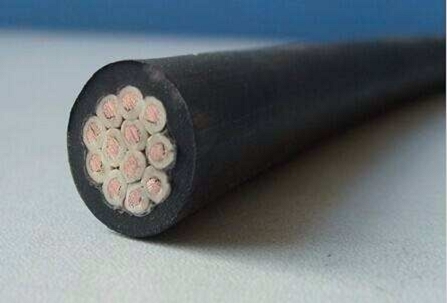 N-DJVVP2-22-(B)-(J)0.3/0.5kVӋC|ˇ