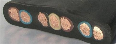 ZC-DJVVP-(B)0.3/0.5kVӋC|