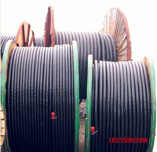 ZC-DJYPV-22-(J)0.3/0.5kVӋC|r