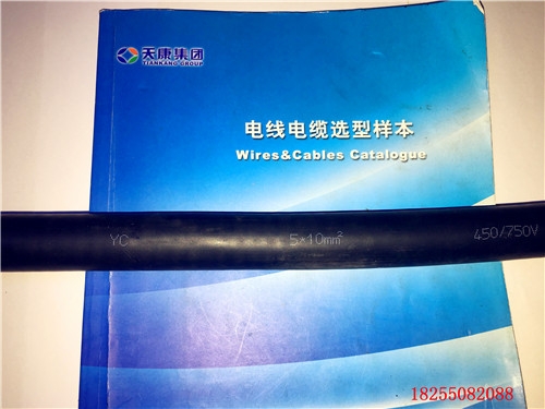 DJVP2V-22-(J)0.3/0.5kVӋC|ˇ