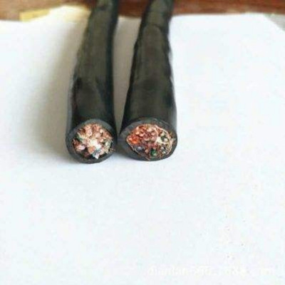 (bio)N-DJVVP-(B)0.3/0.5kVӋC(j)|F(xin)؛