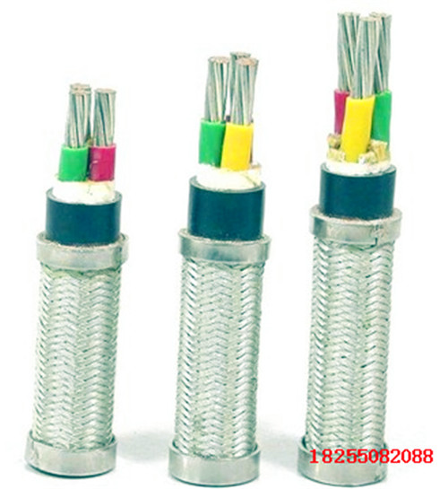 ZC-DJYVP-(R)0.3/0.5kVӋC|