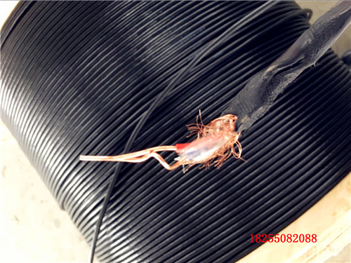 DJYP3VP3-22-(J)0.3/0.5kVӋC|ˇ