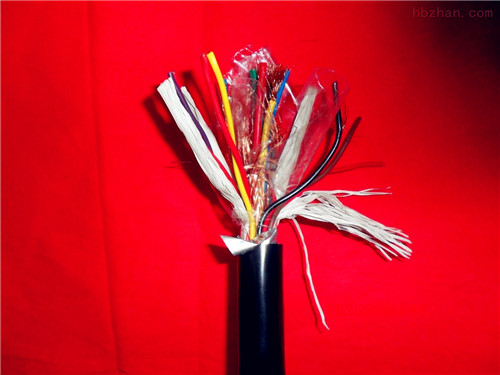 ZB-KVVP-320.45/0.75kV|F؛