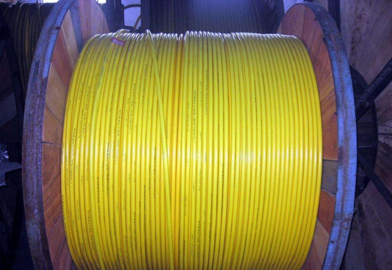 ZC-DJVP3V0.3/0.5kVӋC|S