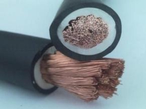 ZCN-DJYVP2-22-(B)-(J)0.3/0.5kVӋC|