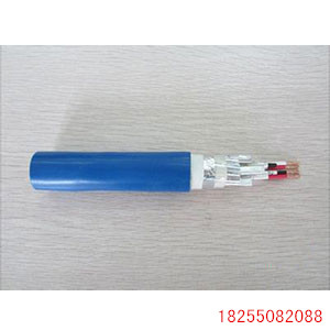 ZC-DJYV-22-(B)-(J)0.3/0.5kVӋC|И˜