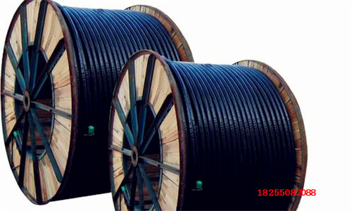 ZCN-DJYV-22-(J)0.3/0.5kVӋC|