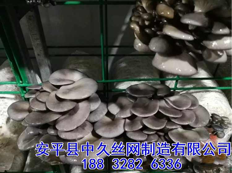 ܾWɫĢBֳͿܾWƬGɫܾWƬ