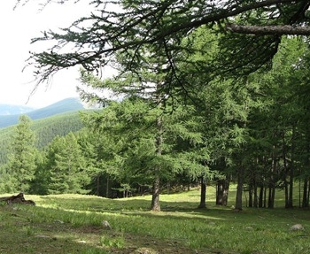 (sh)ľذ匣íh(hun)㾫 oȻľ㾫 Ҿ㾫