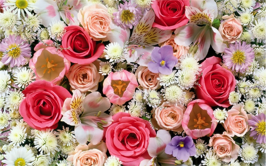 SֱN ī㾫ٻ㾫 㾫 ho ־