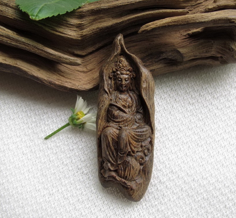 zЬ׌㾫㾫ľ,㡢㡢ζ ɽ㾫˾