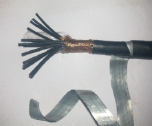 F·̖| PZYAH23 19*1.0r