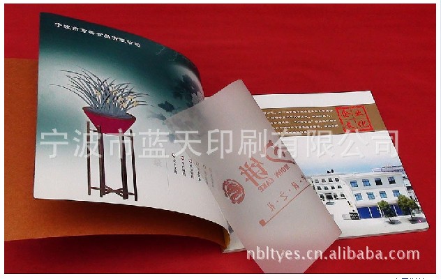 ӱӡˢ aƷӱӡˢ {ӡˢ