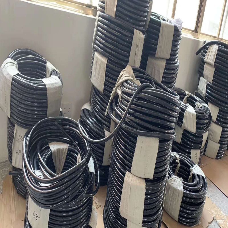 EXBӹҪЩط ҎЩ |Ў׷N